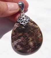 Petrified Wood & Sterling Pendant