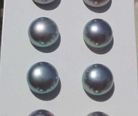 Half Drill Light Peacock Button Pearls 8.5-9mm, Pair