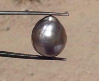 Silvery Mauve South Sea Pearl, 12mm