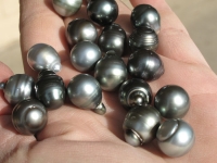  Best Buy- Tahitian/South Sea Pearl, 11-12mm