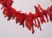 detail_6704_coral218a.jpg