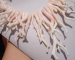 detail_5230_coral232b.jpg