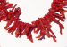 detail_5426_coral_bead22a.jpg