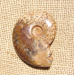 detail_6942_ff07b.jpg