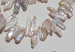 detail_1366_biwa-pearl03a.jpg