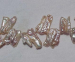 detail_1366_biwa-pearl03b.jpg
