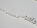 detail_1572_coral_bead38b.jpg