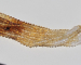 detail_4979_gemstone_bead596a.jpg