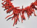 detail_619_coral_bead41a.jpg