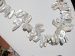 detail_6097_keshi-pearl69a.jpg