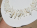 detail_6872_coral_bead47d.jpg