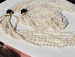 detail_7116_zz646a.jpg