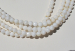 detail_4634_shel341b.jpg