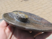 detail_4354_dish2a.jpg