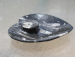 detail_4455_dish3a.jpg