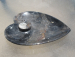 detail_876_dish4c.jpg