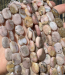detail_7484_pinkopal03a.jpg