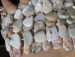 detail_7491_pinkopal07b.jpg