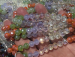detail_7518_glass12b.jpg