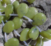 detail_1281_stone370.jpg