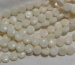detail_1623_coral148.jpg