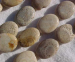 detail_173_stone2794.jpg