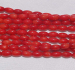 thumb_coral105.jpg