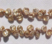 detail_2448_thumb_keshi160.jpg