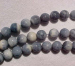 detail_2657_coral213.jpg