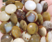 detail_3453_thumb_stone1603.jpg