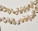 detail_3786_keshi-pearl119.jpg