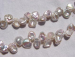 detail_4722_keshi239.jpg