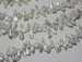 detail_4886_keshi-pearl49.jpg