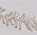 thumb_beadprl1931.jpg