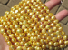 detail_5124_freshwater_pearl603.jpg