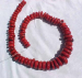 detail_6133_coral192.jpg