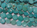 detail_6591_thumb_turq116.jpg