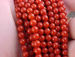 detail_6597_coral12z.jpg