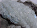 detail_6703_indmn02.jpg