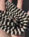 detail_7232_agate03a.jpg