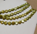 detail_7263_coin_pearl23.jpg