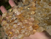 detail_7511_citrine02.jpg