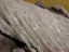 Rainbow Moonstone Bricks, 8x4mm