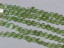Peridot Coins, 5mm