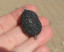 LG Flat Drop Focal Bead, 18x26mm, Black Diamond Pa...