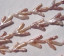 Birds Foot Pearls, Natural Pinks