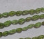 Peridot Rice, 7x4mm