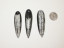 Orthocerus Fossil Spike Pendants, A Grade