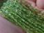 Polished Peridot, 6x4mm ovals