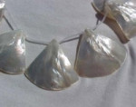 White Pearl Ginko Leaf String, 32-38mm
